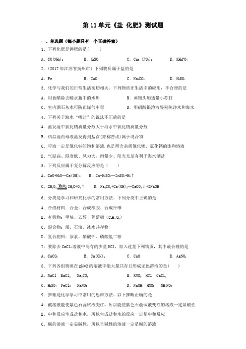 人教版初中化学九年级下册第11单元《盐 化肥》测试试题(含答案)