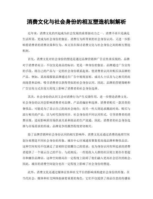 消费文化与社会身份的相互塑造机制解析