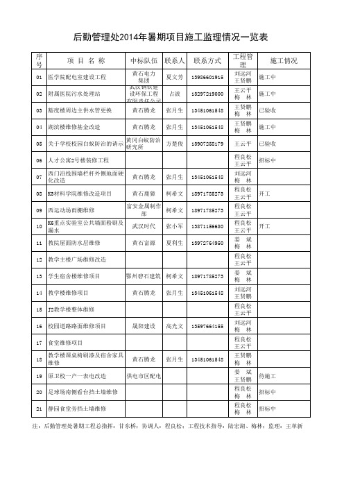 2014年暑期项目一览表