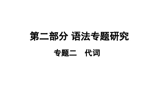 英语中考总复习 语法专题二 代词