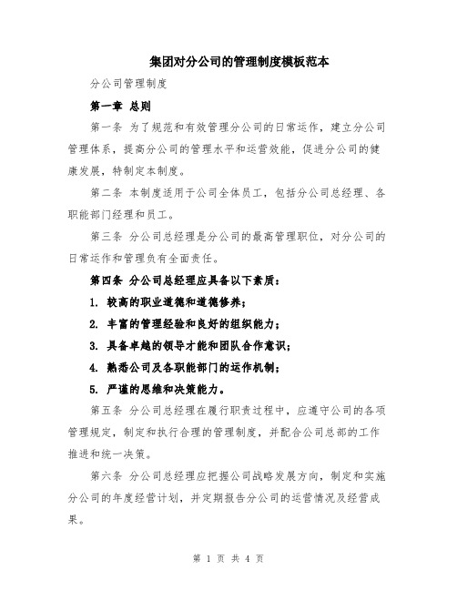 集团对分公司的管理制度模板范本