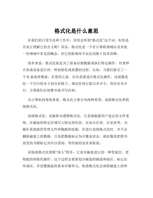 格式化是什么意思