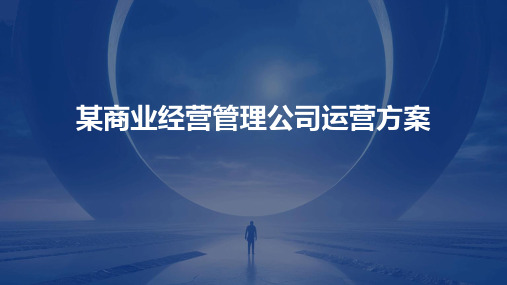 某商业经营管理公司运营方案