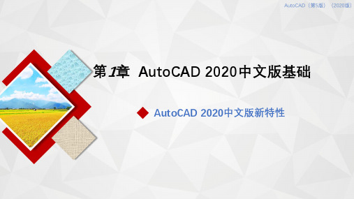 第1章  AutoCAD 2020中文版基础[114页]