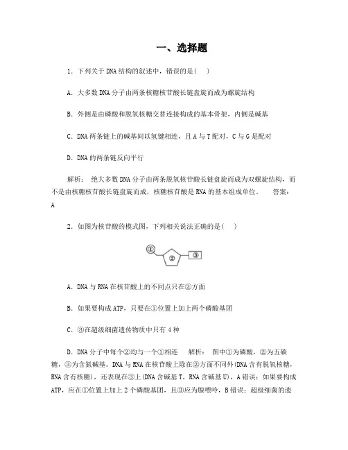 DNA分子结构练习题