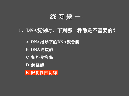 习题复制转录翻译