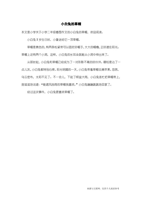 小学二年级看图作文:小白兔的草帽