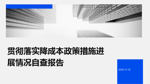 贯彻落实降成本政策措施进展情况自查报告