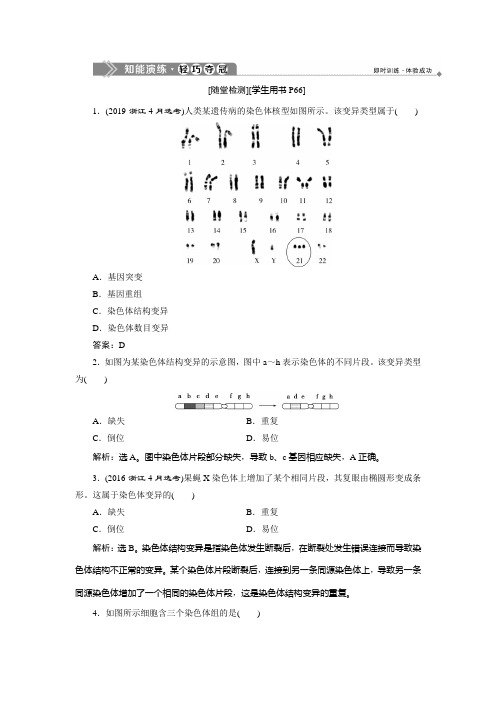 2019-2020学年浙科版生物必修二新素养同步练习:第四章 第一节 第2课时 染色体畸变知能演练轻巧夺冠 Word