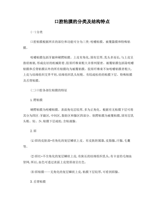 口腔执业医师考试口腔组织病理学复习要点：口腔粘膜的分类及结构特点