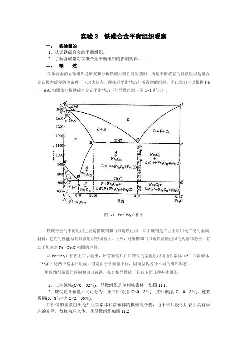 实验3--铁碳合金平衡组织观察