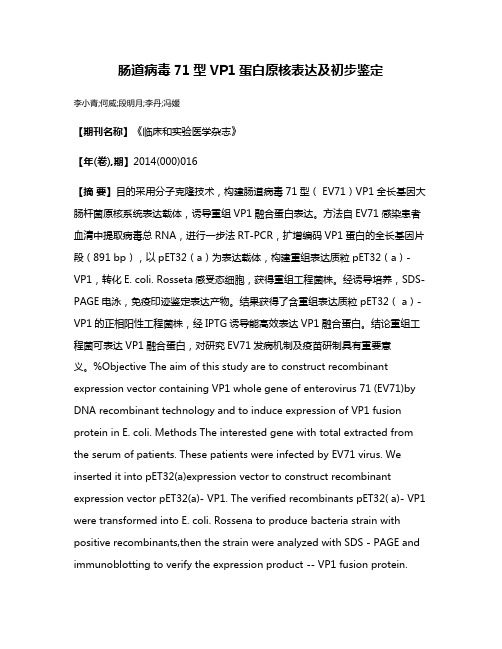 肠道病毒71型VP1蛋白原核表达及初步鉴定