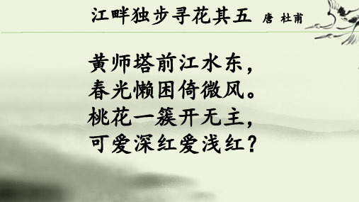 江畔独步寻花其五_黄师塔前江水东_唐诗鉴赏_唐_杜甫