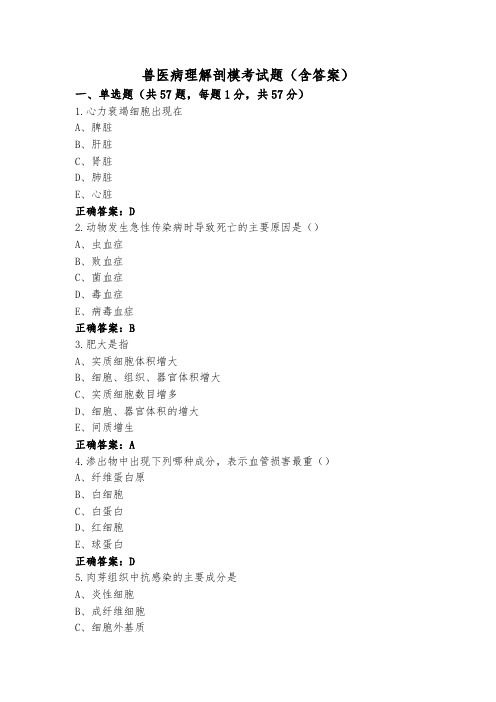 兽医病理解剖模考试题(含答案)