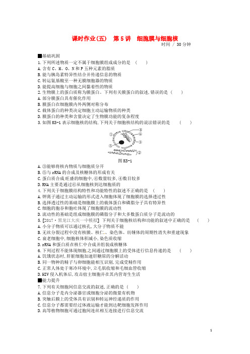 高考生物总复习 课时作业(5)细胞膜与细胞核