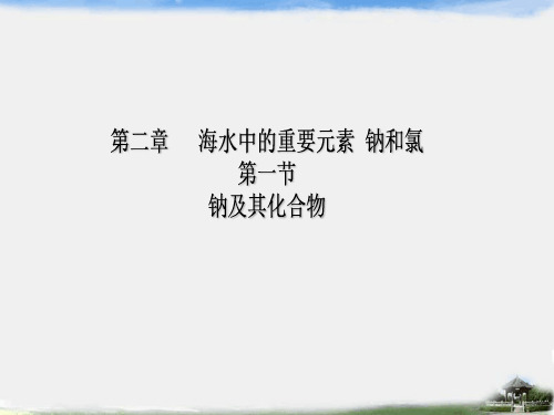 2020年新教程-高中化学必修1 - 第二章   海水中的重要元素 钠和氯1