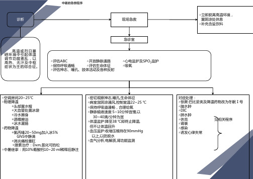 急救常识医学经典急诊抢救程序