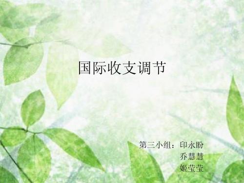 国际收支调节