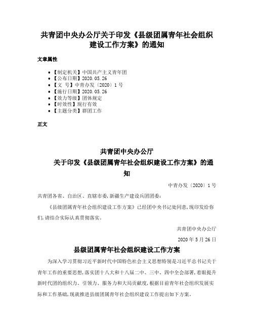 共青团中央办公厅关于印发《县级团属青年社会组织建设工作方案》的通知