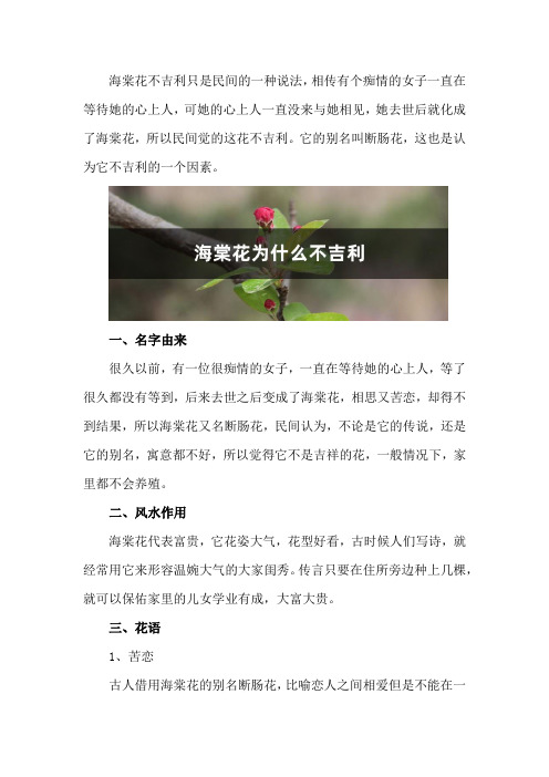 海棠花为什么不吉利