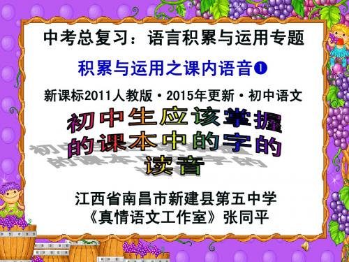 中考总复习：语言积累与运用专题之课内语音(1)课本中的字的读音 版本：新课标2011人教版·2015年更新