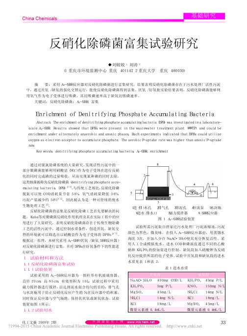 反硝化除磷菌富集试验研究