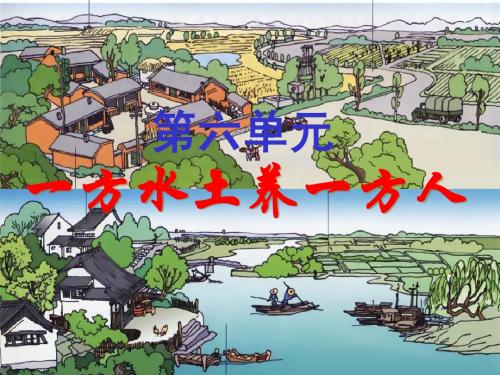 历史与社会-人教版七上第二单元第三课第二框红松之乡(共17张PPT)