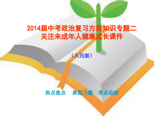 2014届中考政治复习方案知识专题二关注未成年人健康成长课件人民版