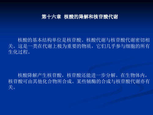 第16章  核酸的降解和核苷酸代谢