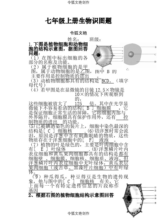 生物七年级生物上册识图题带答案之令狐文艳创作