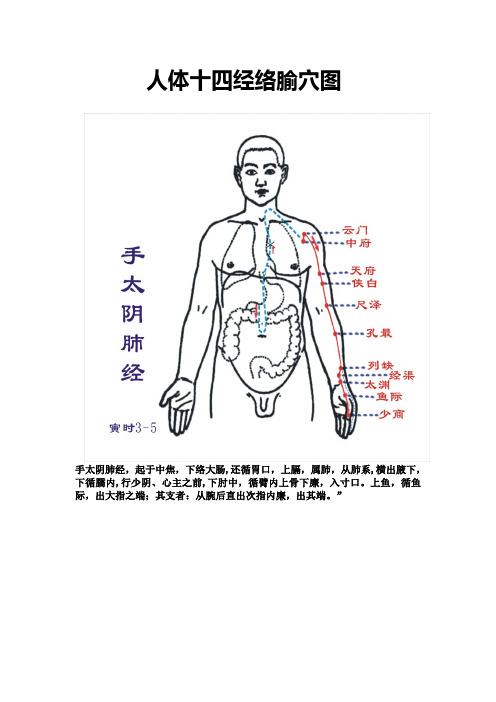 人体十四经络腧穴图