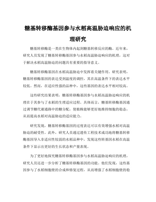 糖基转移酶基因参与水稻高温胁迫响应的机理研究