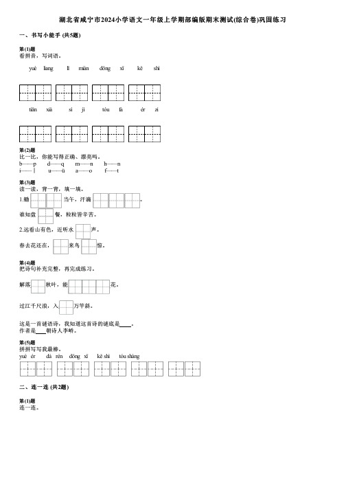 湖北省咸宁市2024小学语文一年级上学期部编版期末测试(综合卷)巩固练习