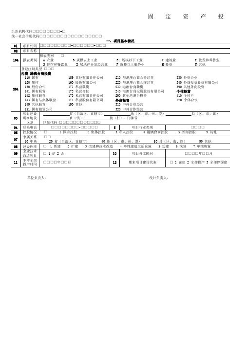 固定资产投资项目情况表(A3版)