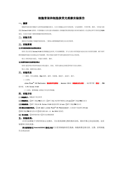 细胞骨架和细胞核荧光观察实验报告