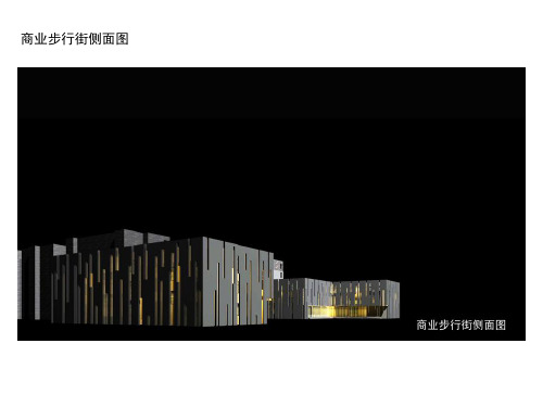 安丘步行街概念方案建筑设计