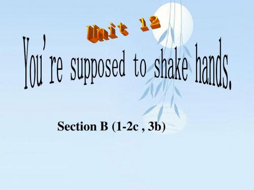 人教版英语九年级Unit12 You are supposed to shake hands Section B (1-2c , 3b)