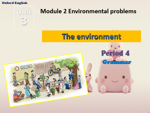 牛津深圳版《The environment P4 Grammar》课件(公开课)