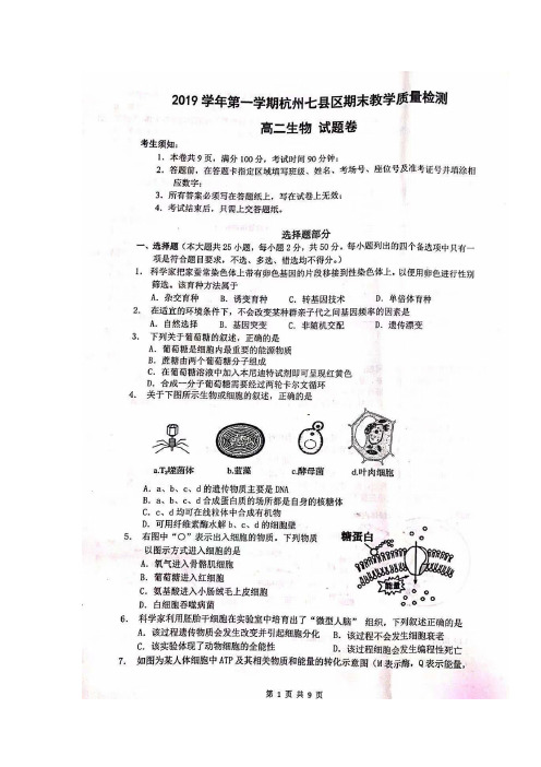 浙江省杭州市七县区2019-2020学年高二上学期期末生物试题 扫描版含答案