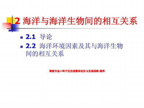 铜陵市金口岭片区改造整体定位与发展战略-最终