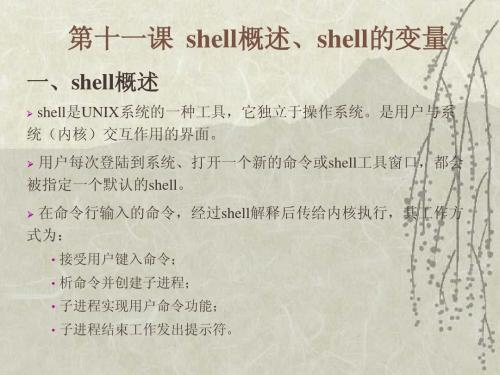 第11课 shell概述与shell变量