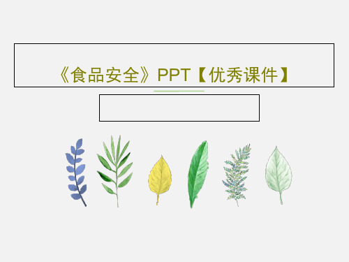 《食品安全》PPT【优秀课件】共46页