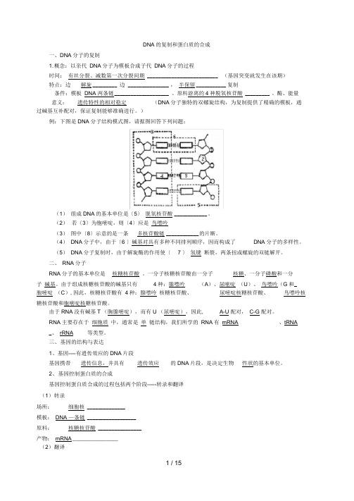 上海高中生物会考知识点整理下(全)