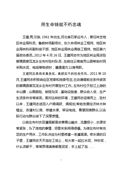 王建——用生命铸就不朽忠魂