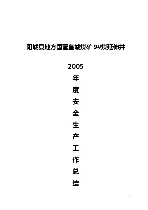 2005年安全生产工作总结