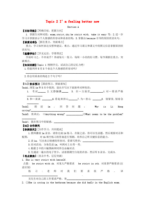 八年级英语下册 Unit 5 Feeling Excited Topic 2 I’m feeling