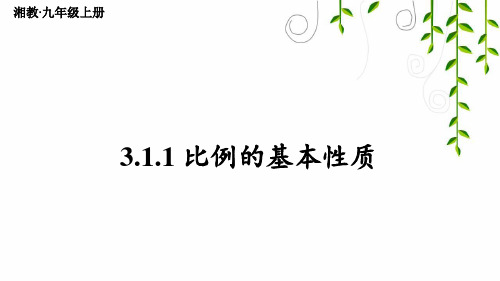 湘教版数学九年级上册3 比例的基本性质课件牛老师