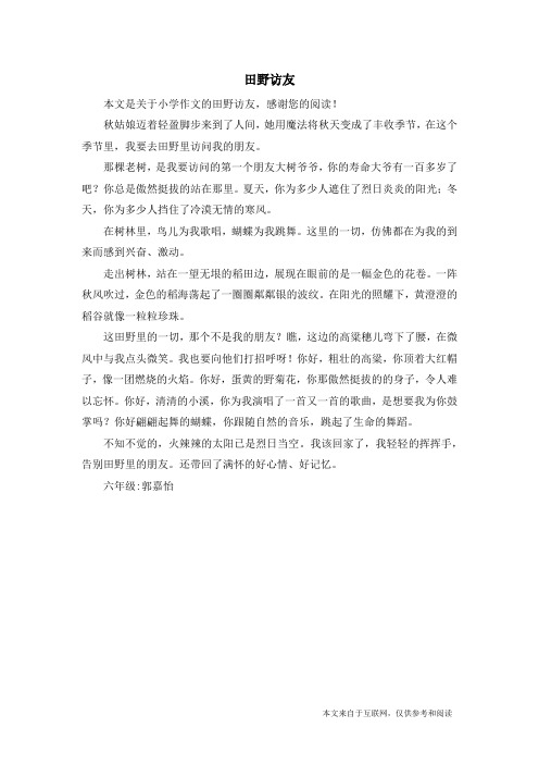 田野访友_小学作文_2