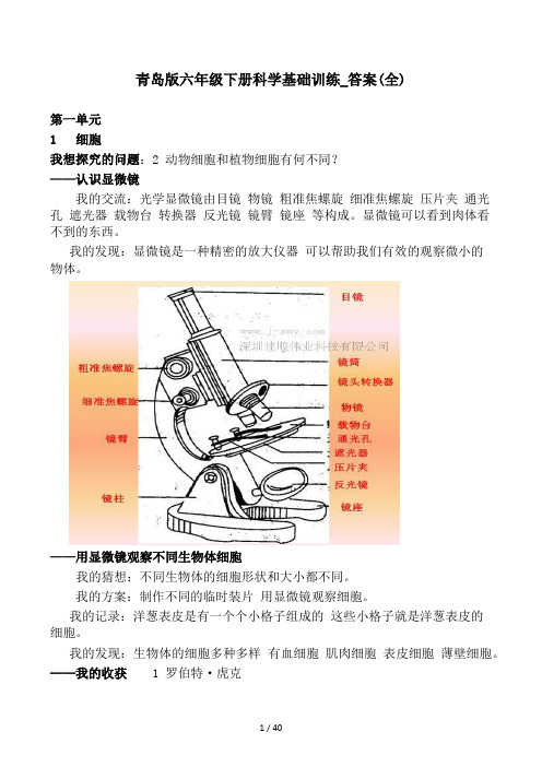 青岛版六年级下册科学基础训练答案(全) (2)