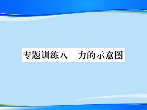 第六章 专题训练八 力的示意图—2020秋沪科版八年级物理上册课堂作业课件